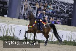 25R13_06750 thumbnail