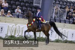 25R13_06751 thumbnail