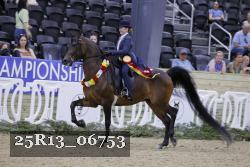 25R13_06753 thumbnail