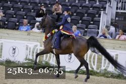 25R13_06755 thumbnail