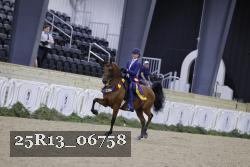 25R13_06758 thumbnail