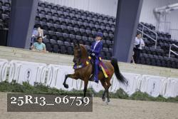 25R13_06759 thumbnail