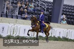 25R13_06760 thumbnail