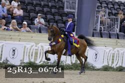 25R13_06761 thumbnail