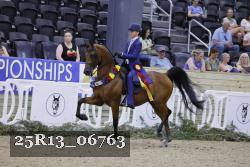 25R13_06763 thumbnail