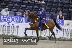 25R13_06764 thumbnail