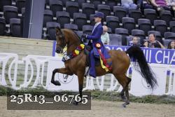 25R13_06765 thumbnail