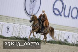 25R13_06770 thumbnail