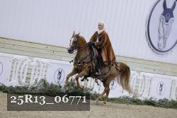 25R13_06771 thumbnail
