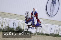 25R13_06775 thumbnail