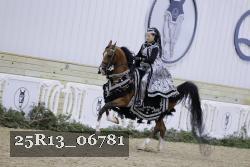 25R13_06781 thumbnail