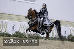 25R13_06782 thumbnail