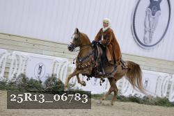 25R13_06783 thumbnail