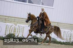 25R13_06784 thumbnail