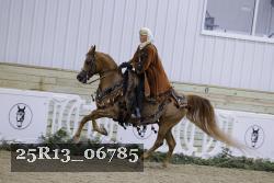 25R13_06785 thumbnail