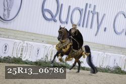 25R13_06786 thumbnail