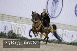 25R13_06787 thumbnail