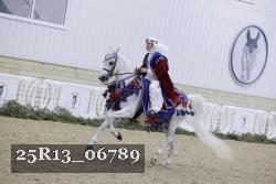 25R13_06789 thumbnail