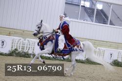 25R13_06790 thumbnail
