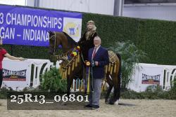 25R13_06801 thumbnail