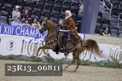 25R13_06811 thumbnail
