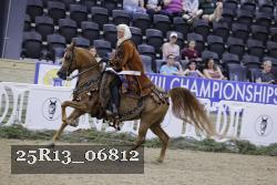 25R13_06812 thumbnail