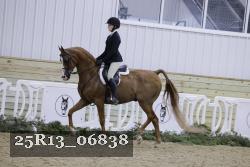 25R13_06838 thumbnail