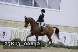 25R13_06842 thumbnail