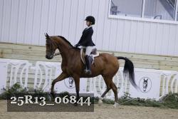25R13_06844 thumbnail