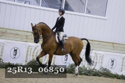 25R13_06850 thumbnail