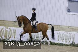 25R13_06852 thumbnail