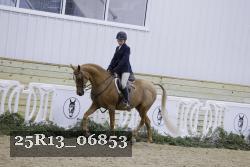 25R13_06853 thumbnail