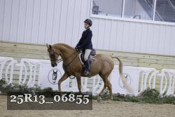 25R13_06855 thumbnail