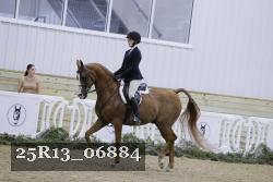 25R13_06884 thumbnail
