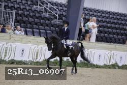 25R13_06907 thumbnail