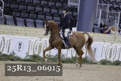 25R13_06915 thumbnail