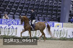 25R13_06917 thumbnail
