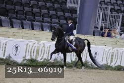 25R13_06919 thumbnail