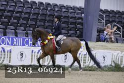 25R13_06924 thumbnail
