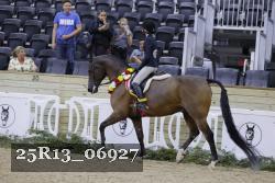 25R13_06927 thumbnail