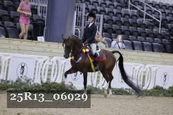 25R13_06929 thumbnail