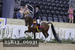 25R13_06931 thumbnail