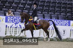25R13_06933 thumbnail