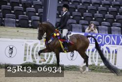 25R13_06934 thumbnail