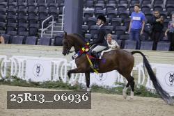 25R13_06936 thumbnail