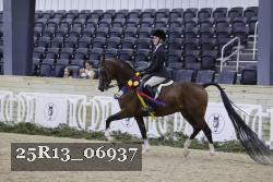 25R13_06937 thumbnail