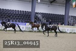 25R13_06945 thumbnail