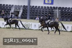 25R13_06947 thumbnail