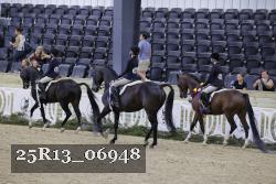 25R13_06948 thumbnail