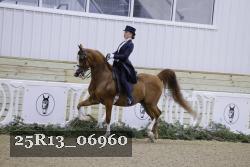 25R13_06960 thumbnail